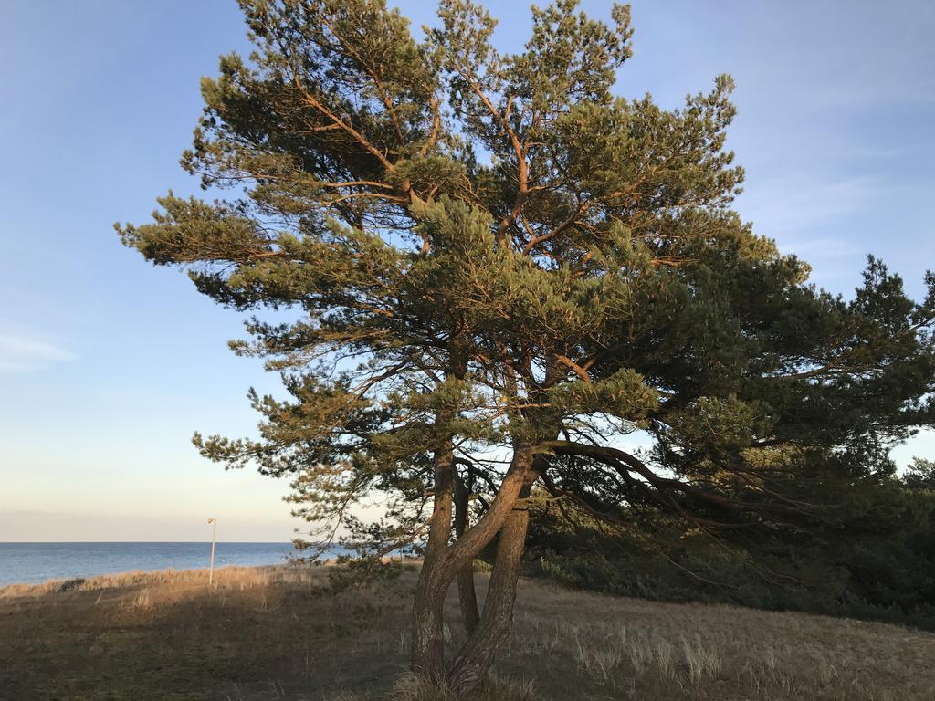 Zum Nordstrand Преров Экстерьер фото